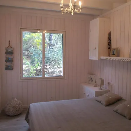 Villa Maison Lumineuse Sous Les Pins *
