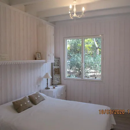 Maison Lumineuse Sous Les Pins Le Canon