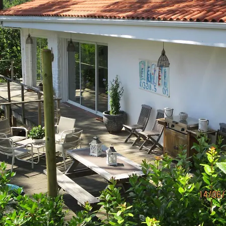 Maison Lumineuse Sous Les Pins * Le Canon