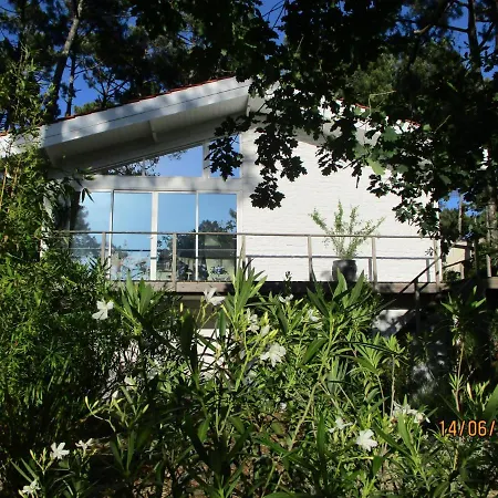 Maison Lumineuse Sous Les Pins Le Canon
