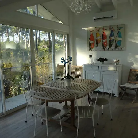Villa Maison Lumineuse Sous Les Pins