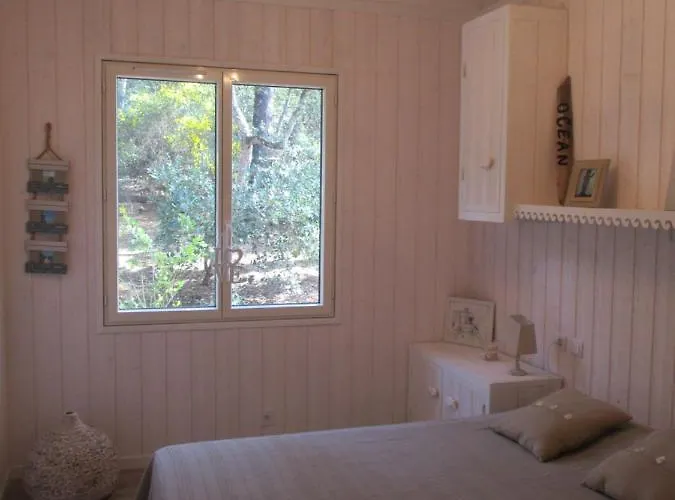 Villa Maison Lumineuse Sous Les Pins *